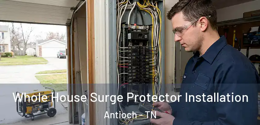 Whole House Surge Protector Installation Antioch - TN